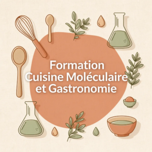 Formation Cuisine Moléculaire et Gastronomie