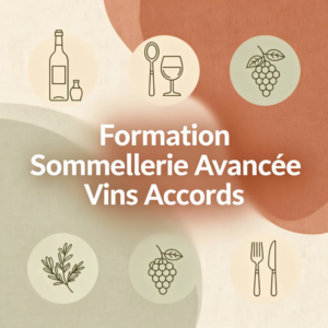 Formation Sommellerie Avancée Vins Accords