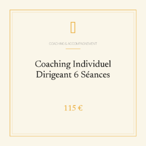 Coaching Individuel Dirigeant 6 Séances