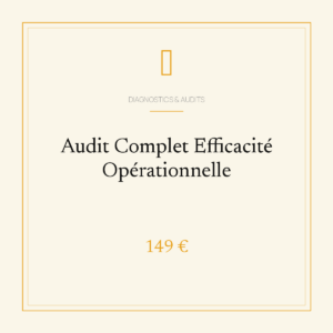 Audit Complet Efficacité Opérationnelle