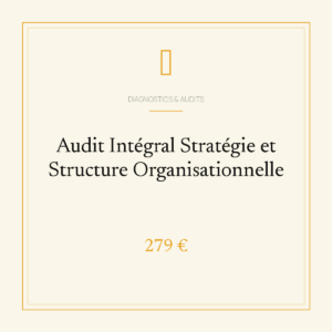 Audit Intégral Stratégie et Structure Organisationnelle