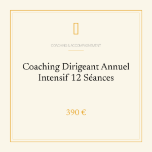 Coaching Dirigeant Annuel Intensif 12 Séances